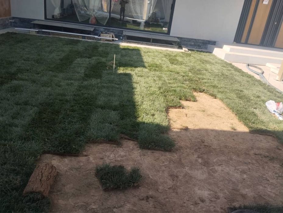 Газон екиш Арча кесиш дорлаш