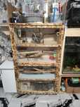Cușca răzătoare veverițe hamsteri chinchile arici