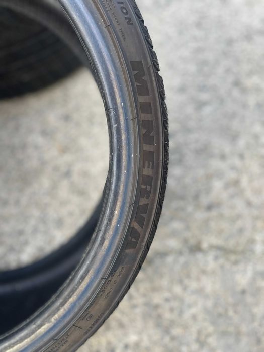 2x 255 30 19 Minerva Snowdragon