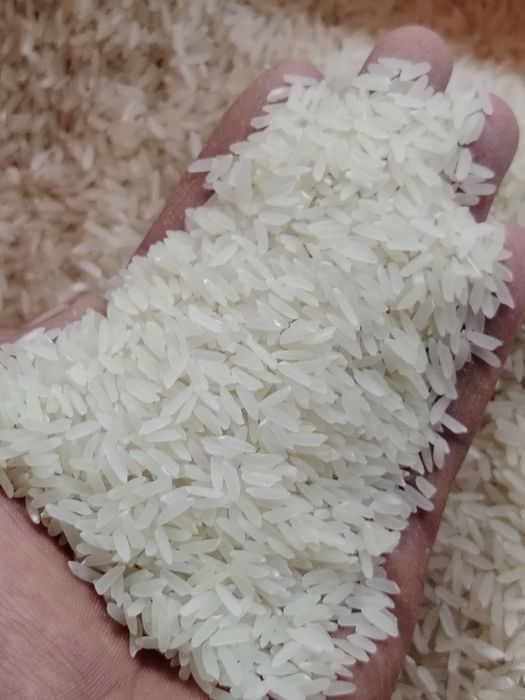 Лазер күріш бар выши сорт денесі қатты нағыз палауға арналған