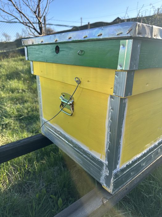 Stup Orizontal /Albine /Ladă