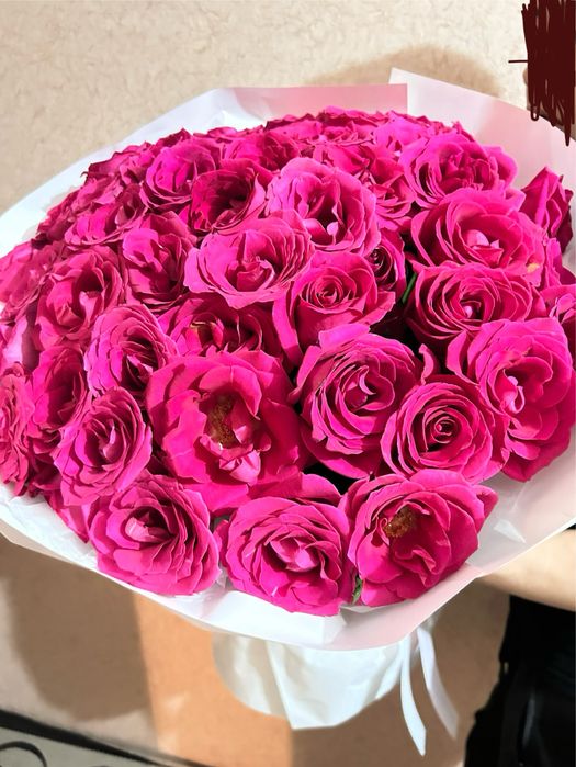 Цветы гул сатамын