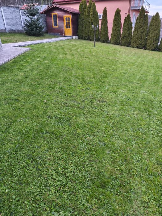 PROPIETAR super vilă de vis calea timișorii