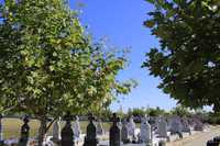 Loc de veci in cimitirul eparhial Sfantul Nicolae - Straulesti