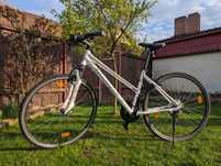 Bicicleta dama Kilimajaro Cross Sport