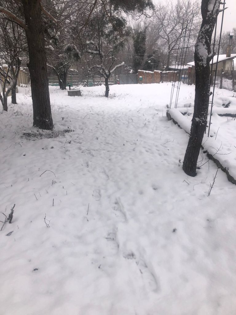 Продава се Парцел в с. Пролеша, Област София-област - 790 кв.м за 128 €/кв.м - Снимка #6