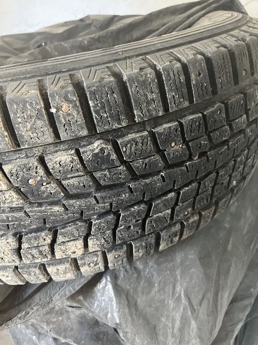 Шины зимние шиповонные дунлоп