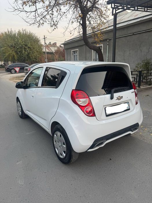 Spark 2020 Yil Optima + Kraska Top Toza Gazibilan