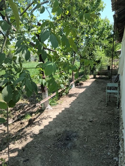 Продаётся дом в сельской местности.Уй сотилади Бука туманида.