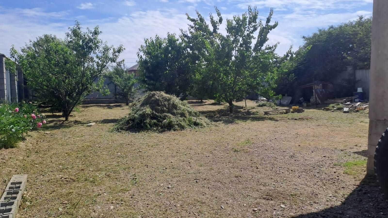 Отдам скошенную траву