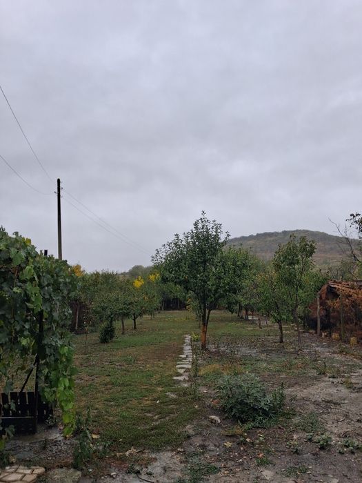 Продава се
На 3км от Търговище има ток,вода от