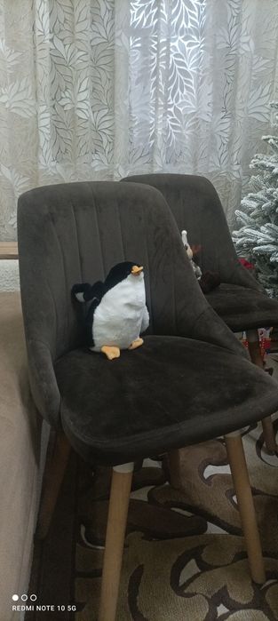 Продаются стулья 6 штук