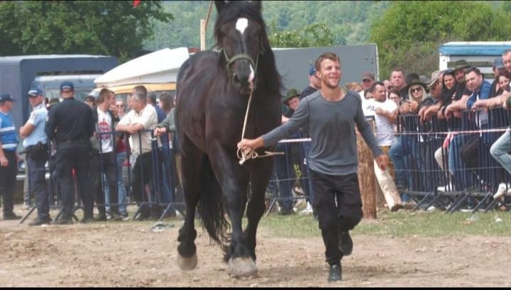 Cal de vânzare de 5 ani