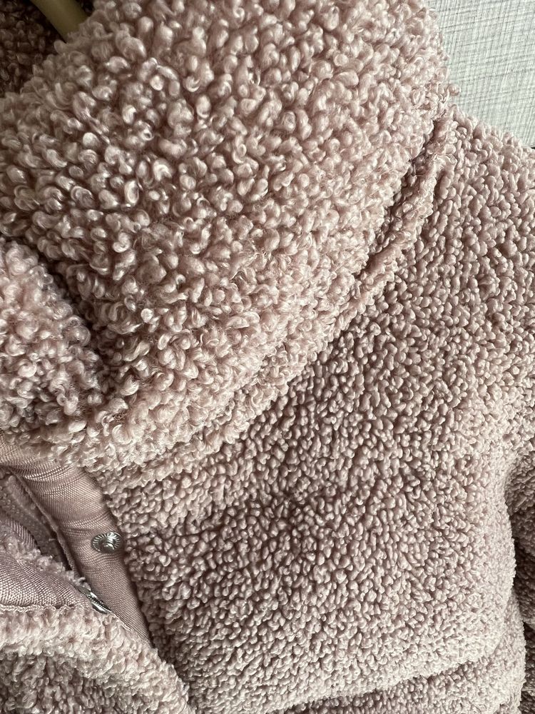 Teddy яке пепел от рози