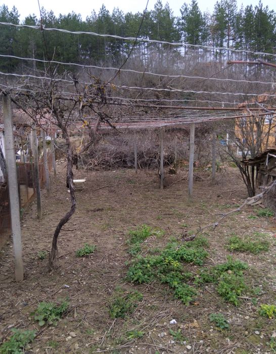 Продава парцел  в с.Невестино обл.Кюстендил