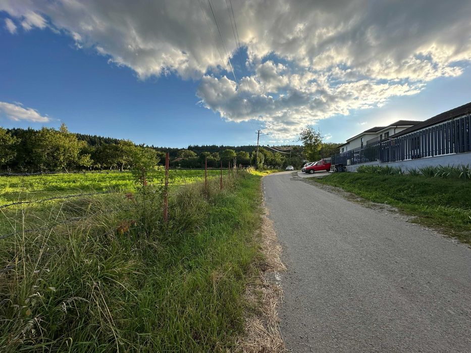 Teren intravilan 950 mp Corușu – panorama spre pădure