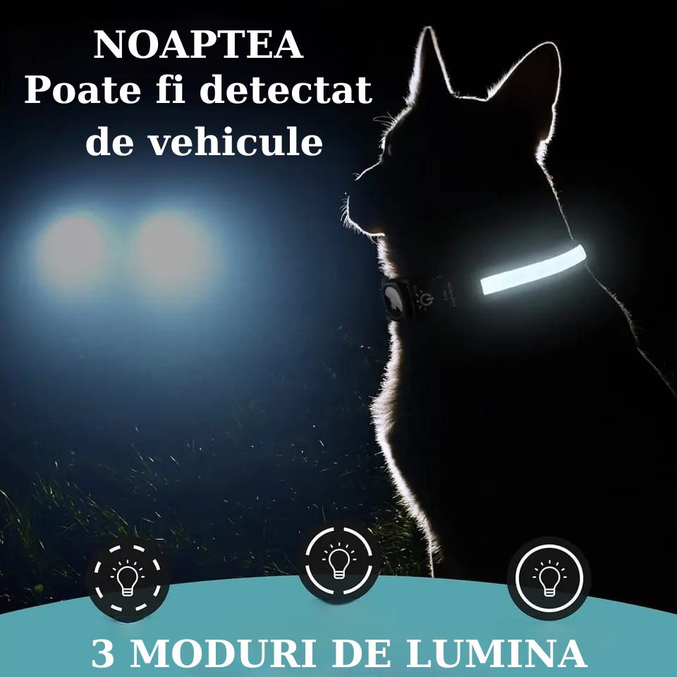 Zgarda pentru caini, cu lumina LED,suport compatibil AirTag, marimea S