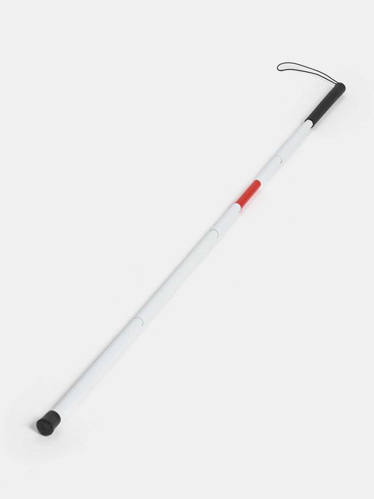 Ko‘zi ojizlar uchun xassa