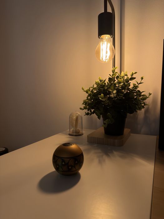 Kendama Tama israel tetrah dot