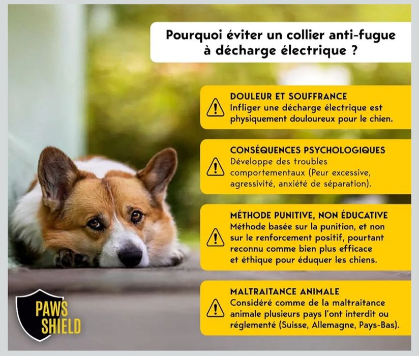 Zgardă Anti-Evadare pentru câini Peace Guard Pro