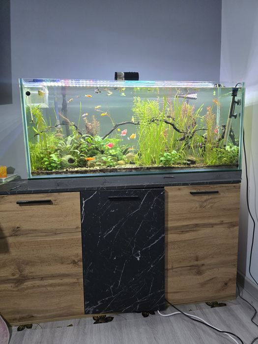 Vând acvariu de 240L cu mobilier