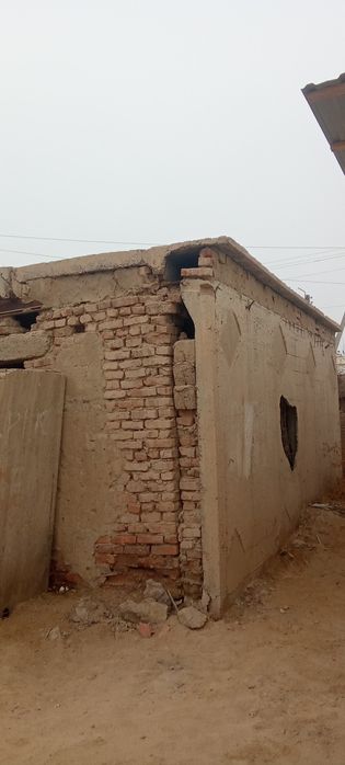 Бесплатно бузып алын