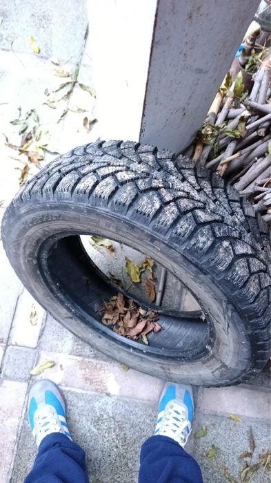 Резина зимняя шипованная