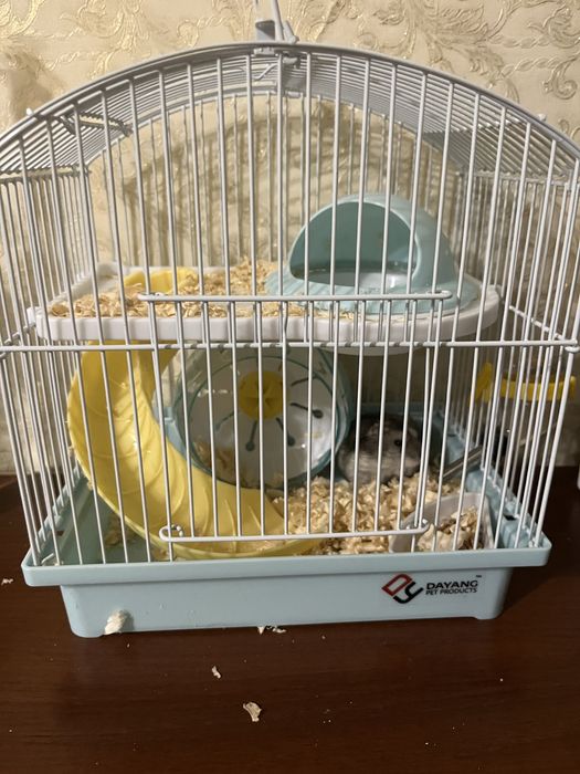 Клетка для хомяка!