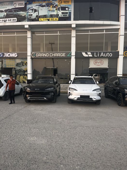 Byd champion 605 km full