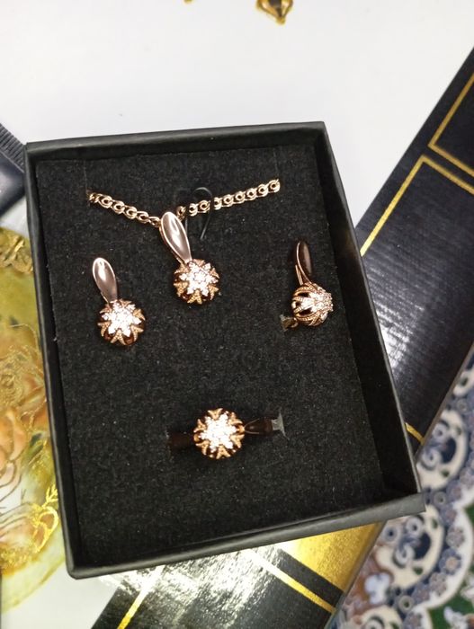 585 probali bujeterya