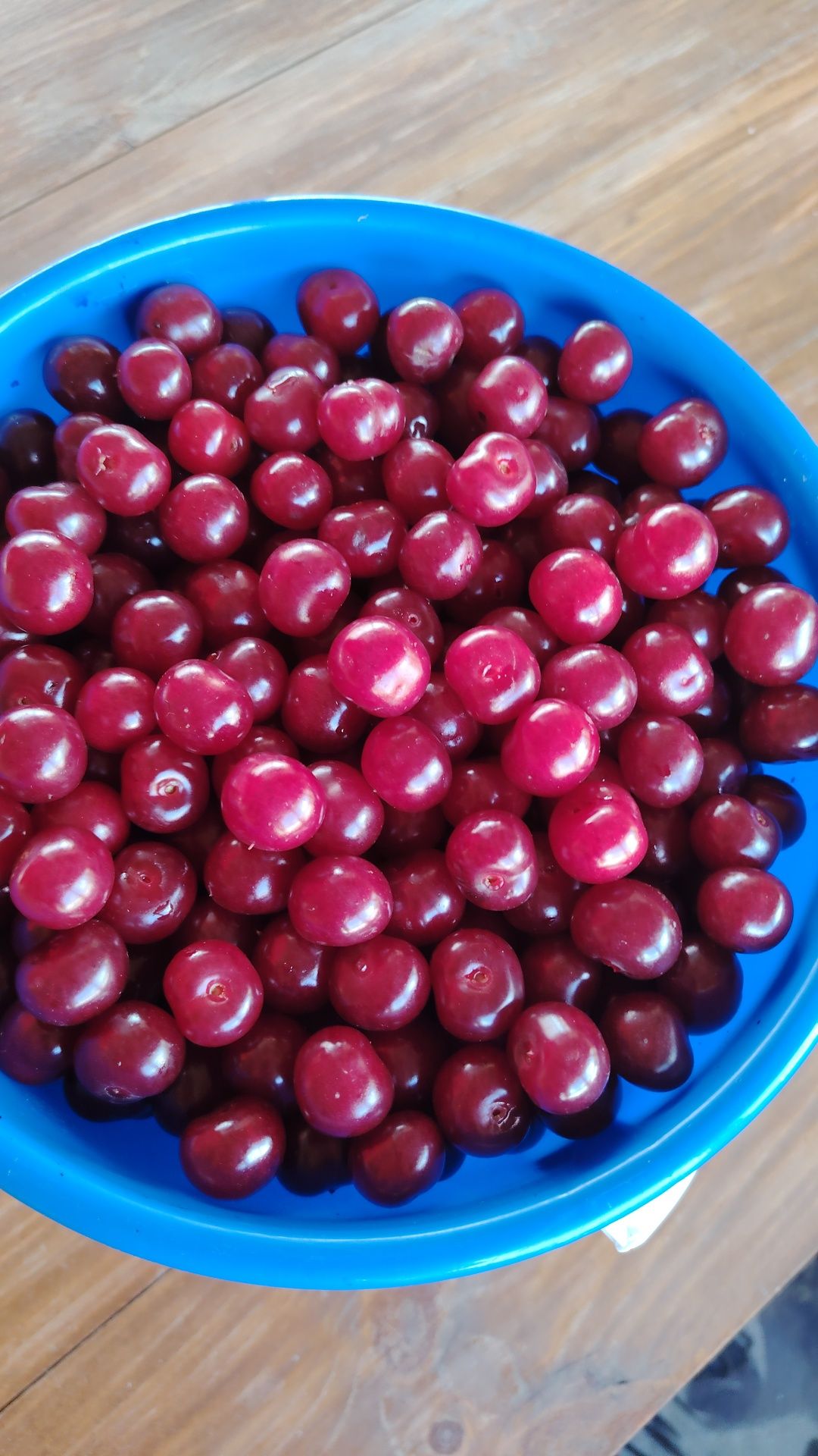 Продам вишню 5 л