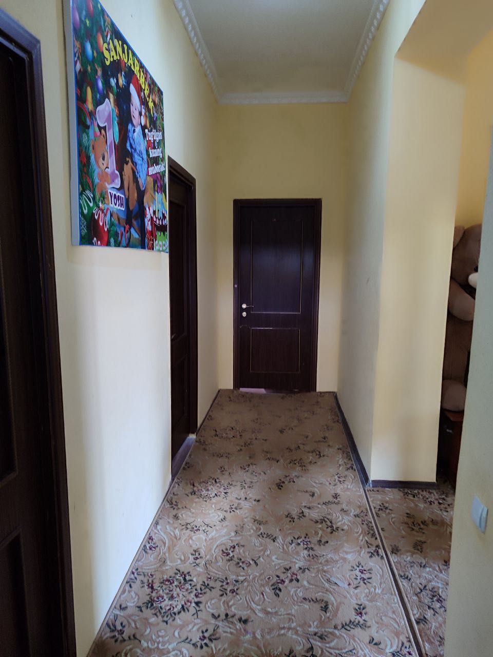 SROCHNA Kotej Sotiladi