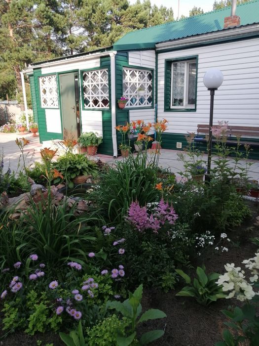 Продам дом в Бишкуле