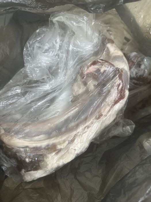 Мясо сайга , киік еті