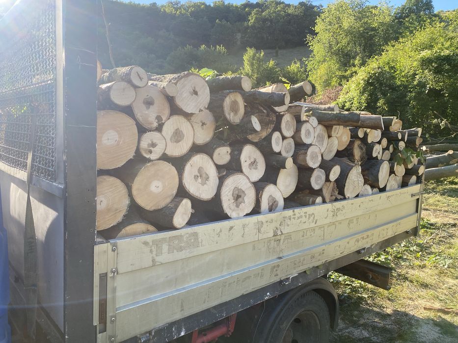 Lemn de foc 3.5cub