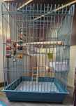 Cusca papagal mare 40x30,noua,pret 200ron