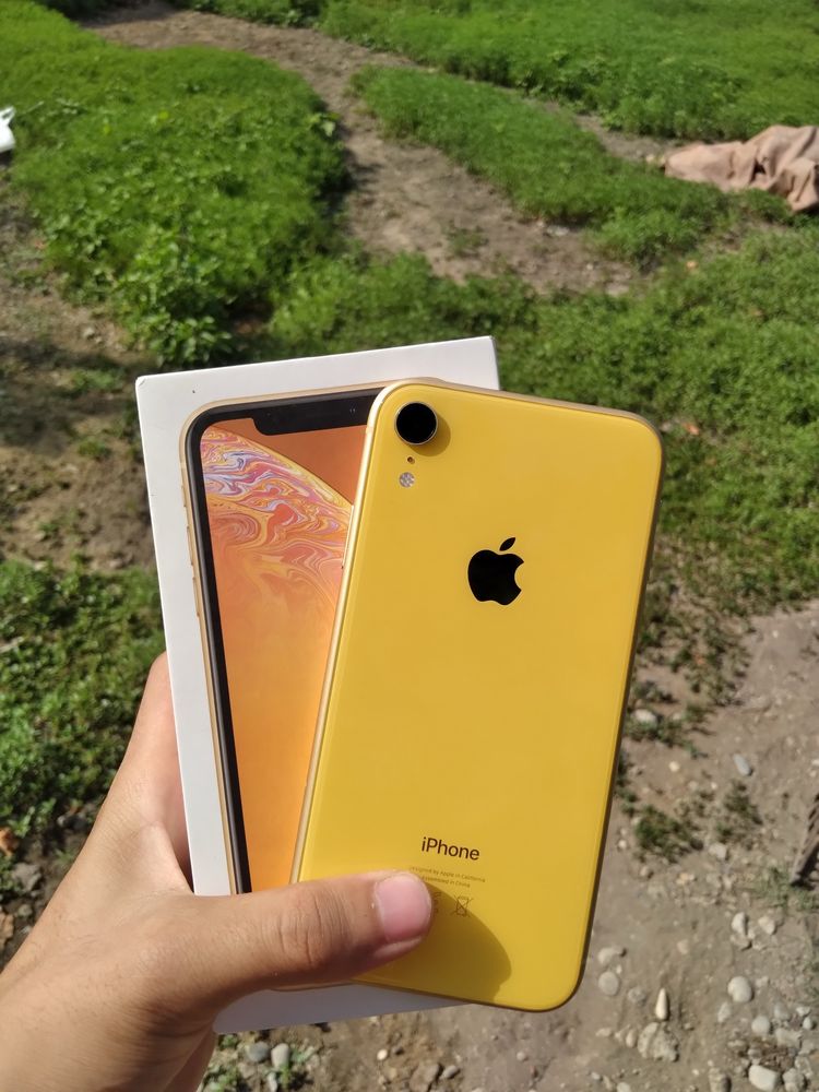 Iphone XR Yellow