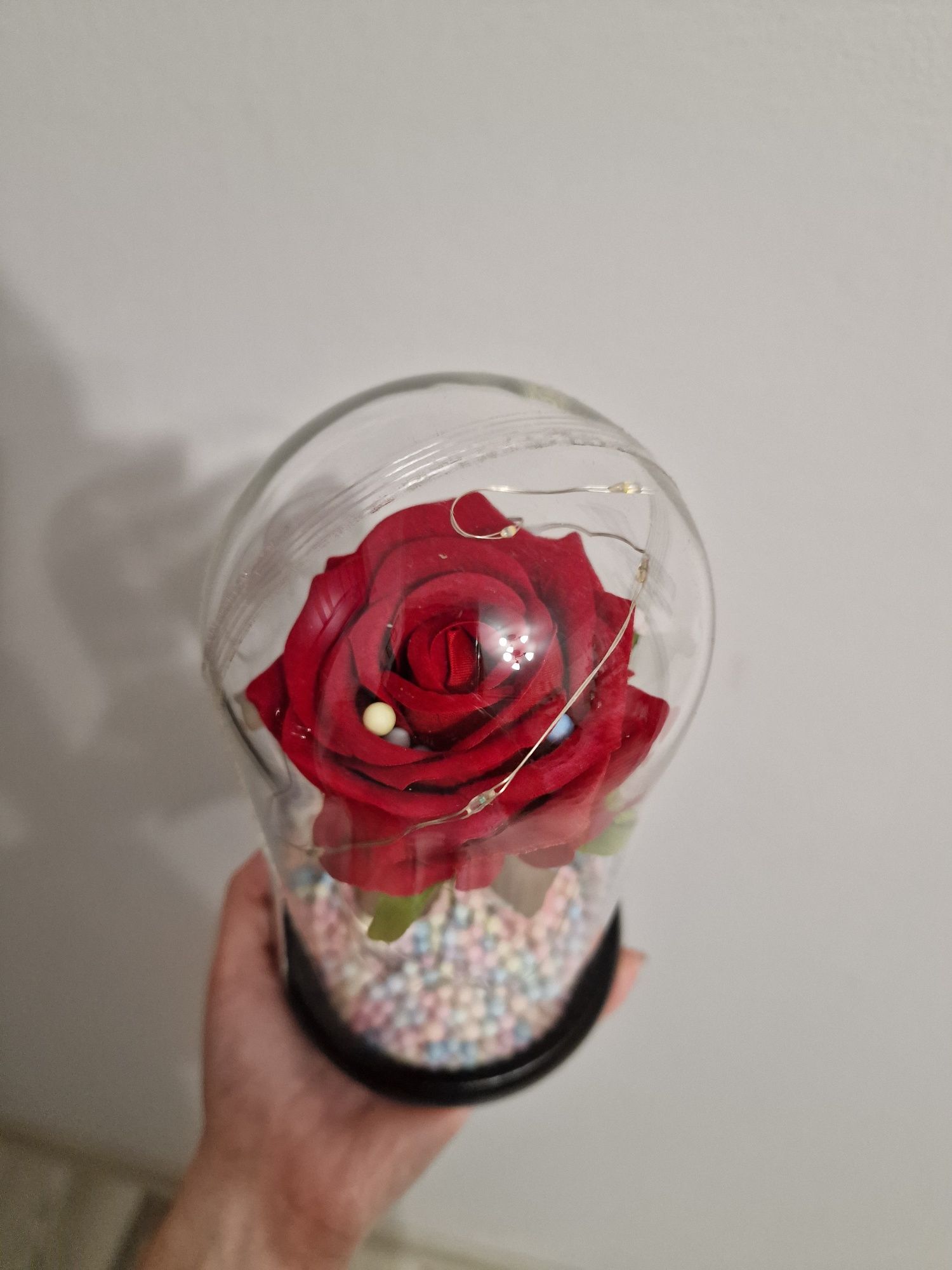 Vând trandafir în sticla