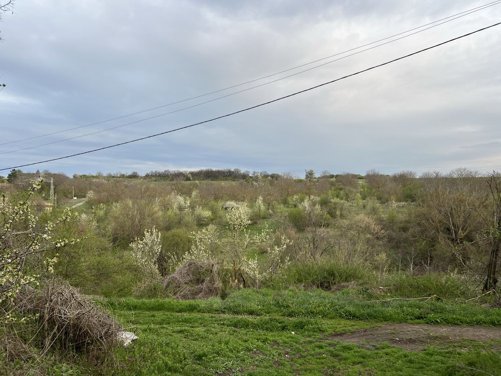 Продава парцел за жилищно строителство, пчелин 700 кв.м. с. Писарево.