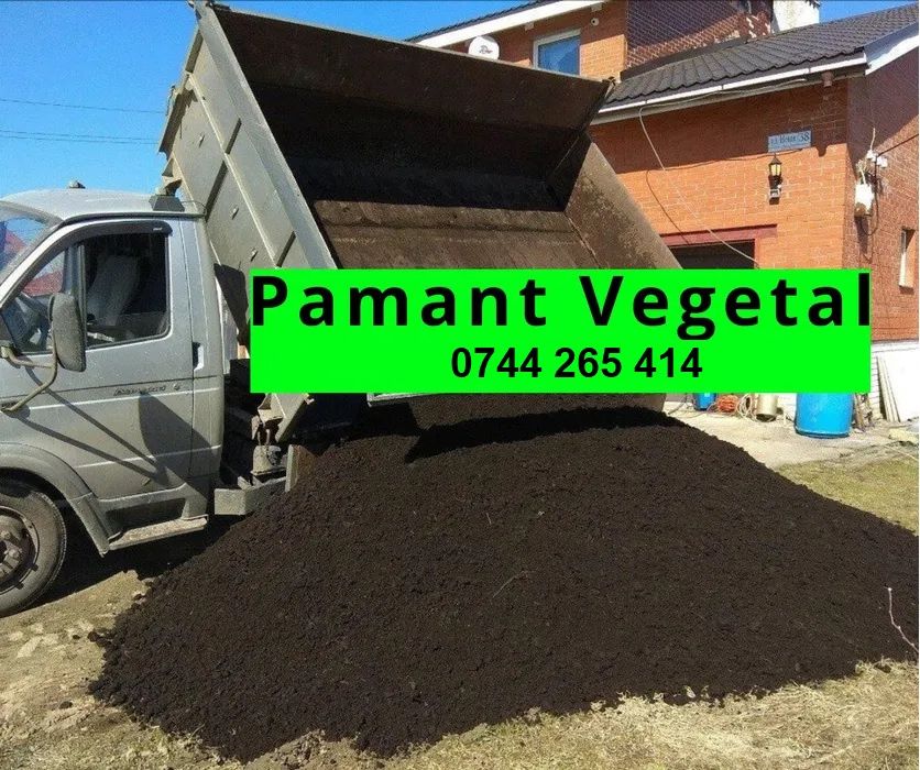 Pamant negru vegetal