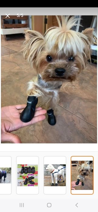 Încălțăminte catei talie mica