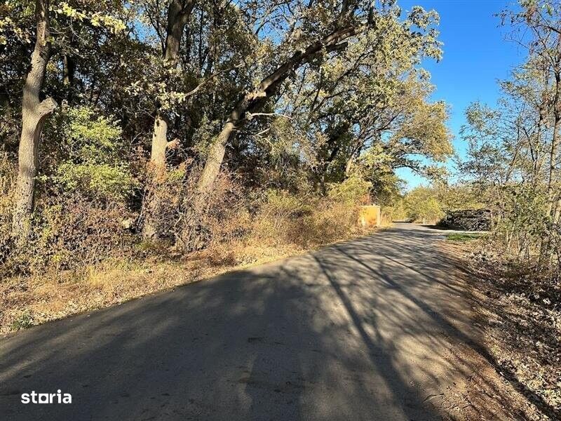 Teren intravilan 1170 mp Corbeanca Padurea Tamasi
