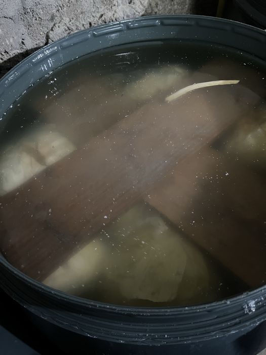 Varza murata 2025 productie proprie autum king