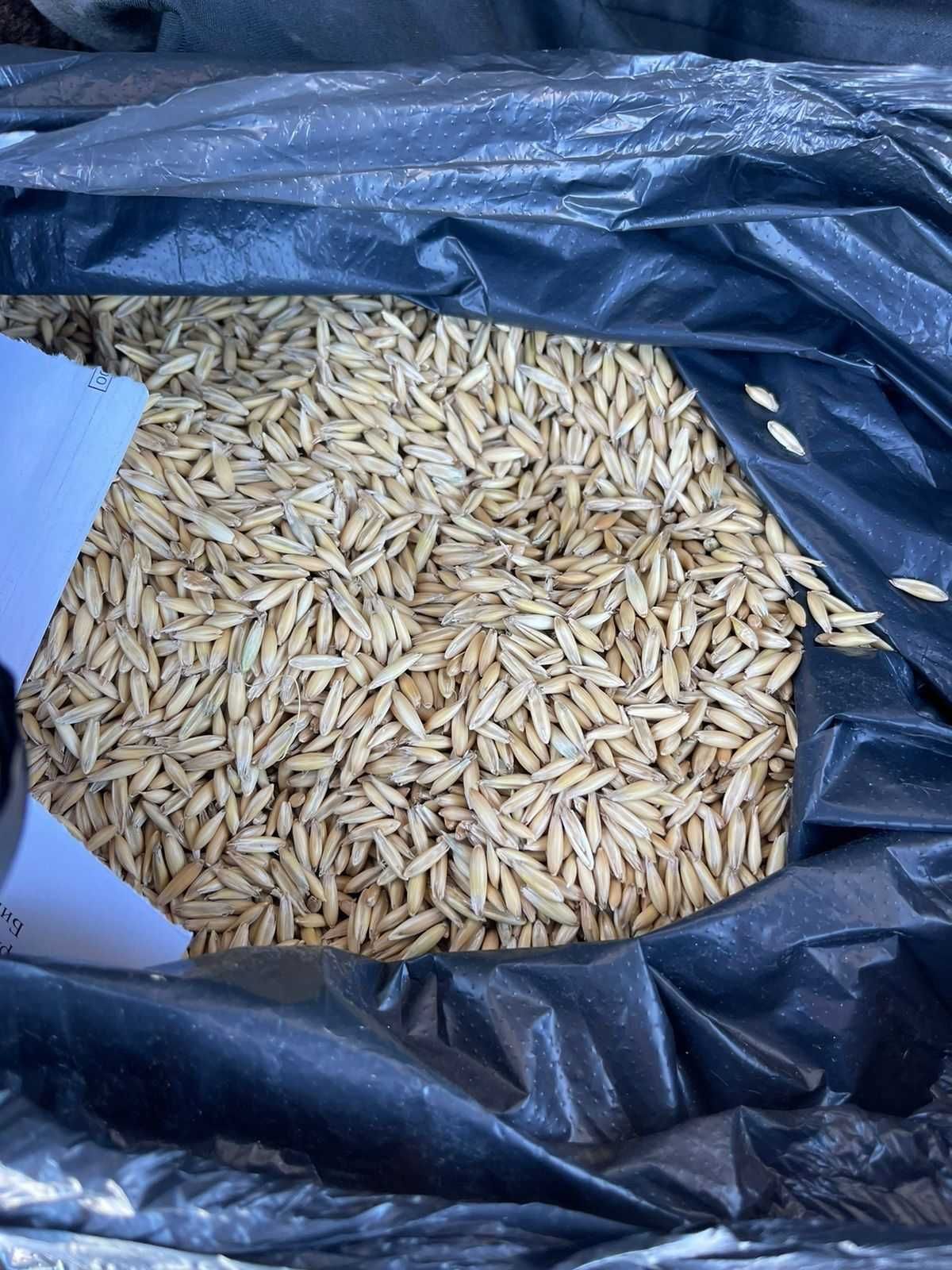 Продаётся  продовольственный