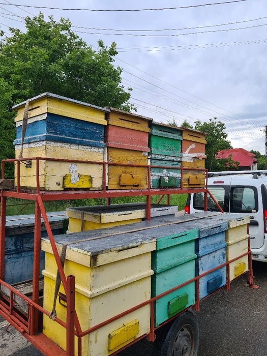 Vand stupina , 16 stupi