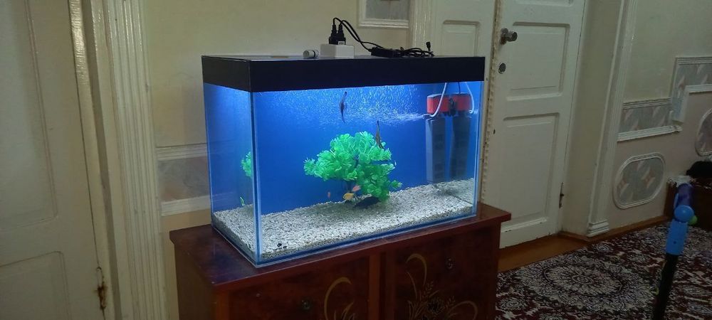 Akvarum komplekt sotilladi