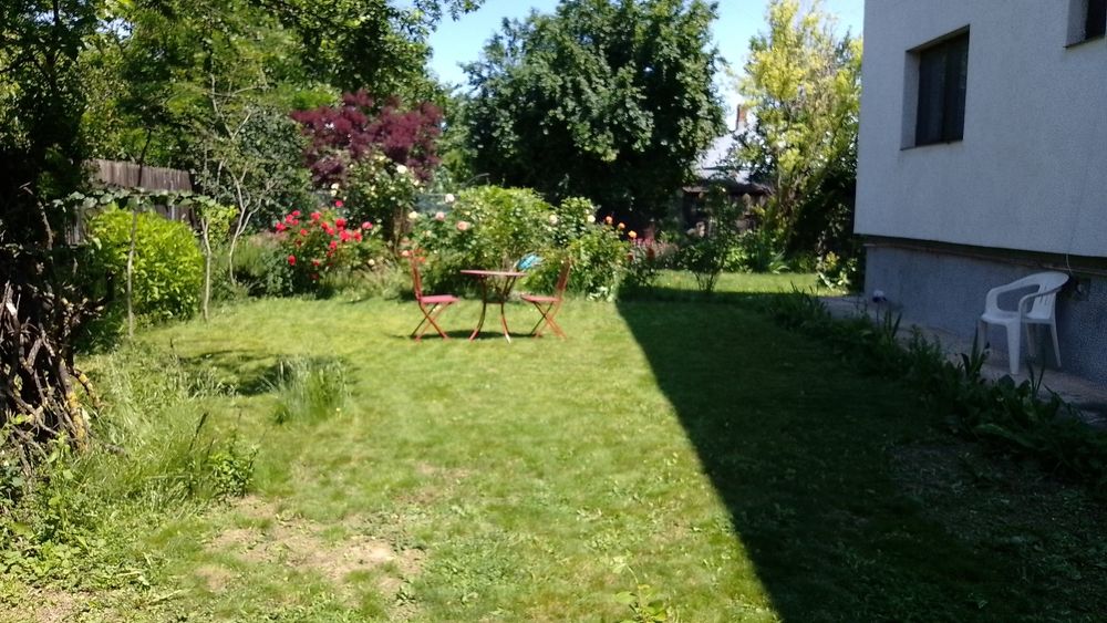 Snagov Apartament ultracentral etaj 1 din P+1 curte, lac, debarcader