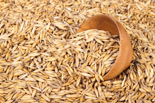 Продам Овес земельный пай 3,5 тонны