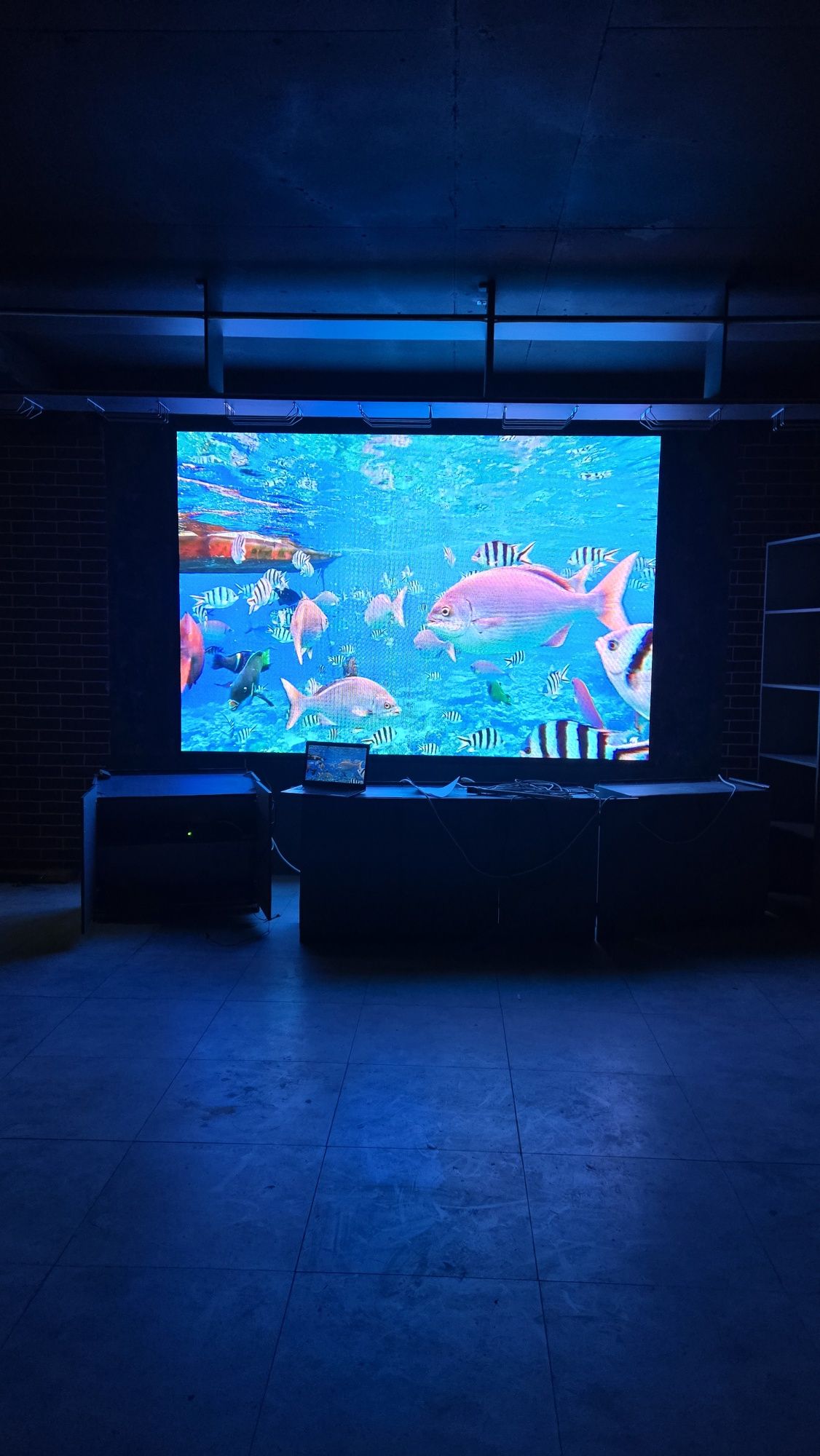 LED экран, лэд экран