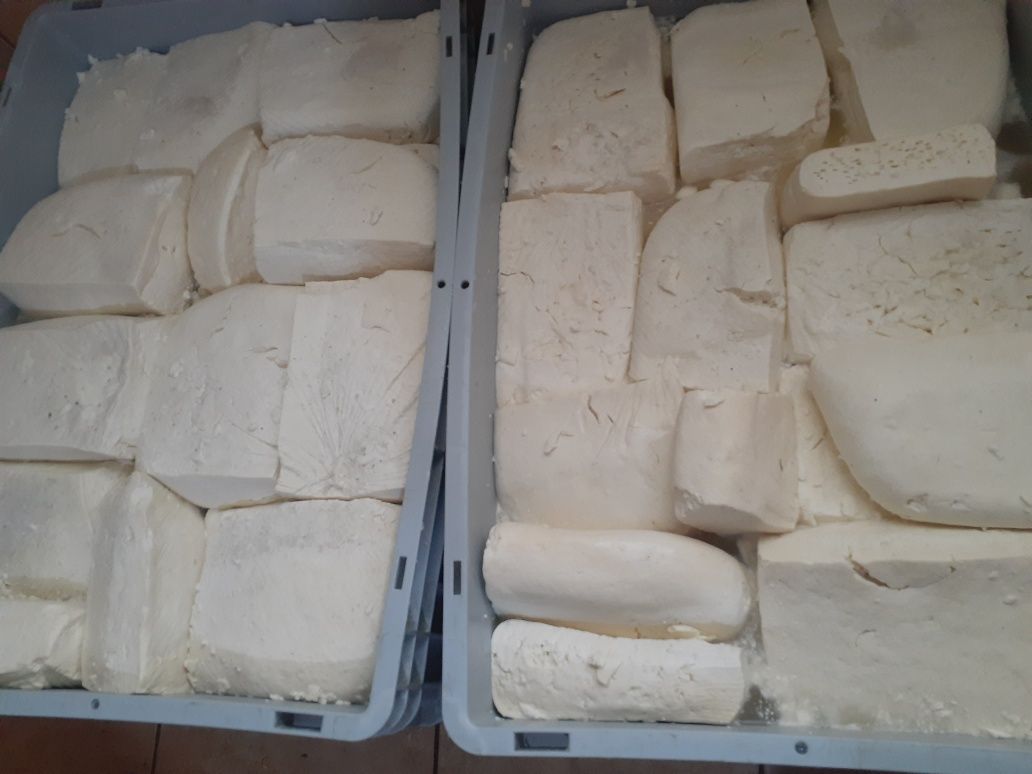 vand branza de oaie